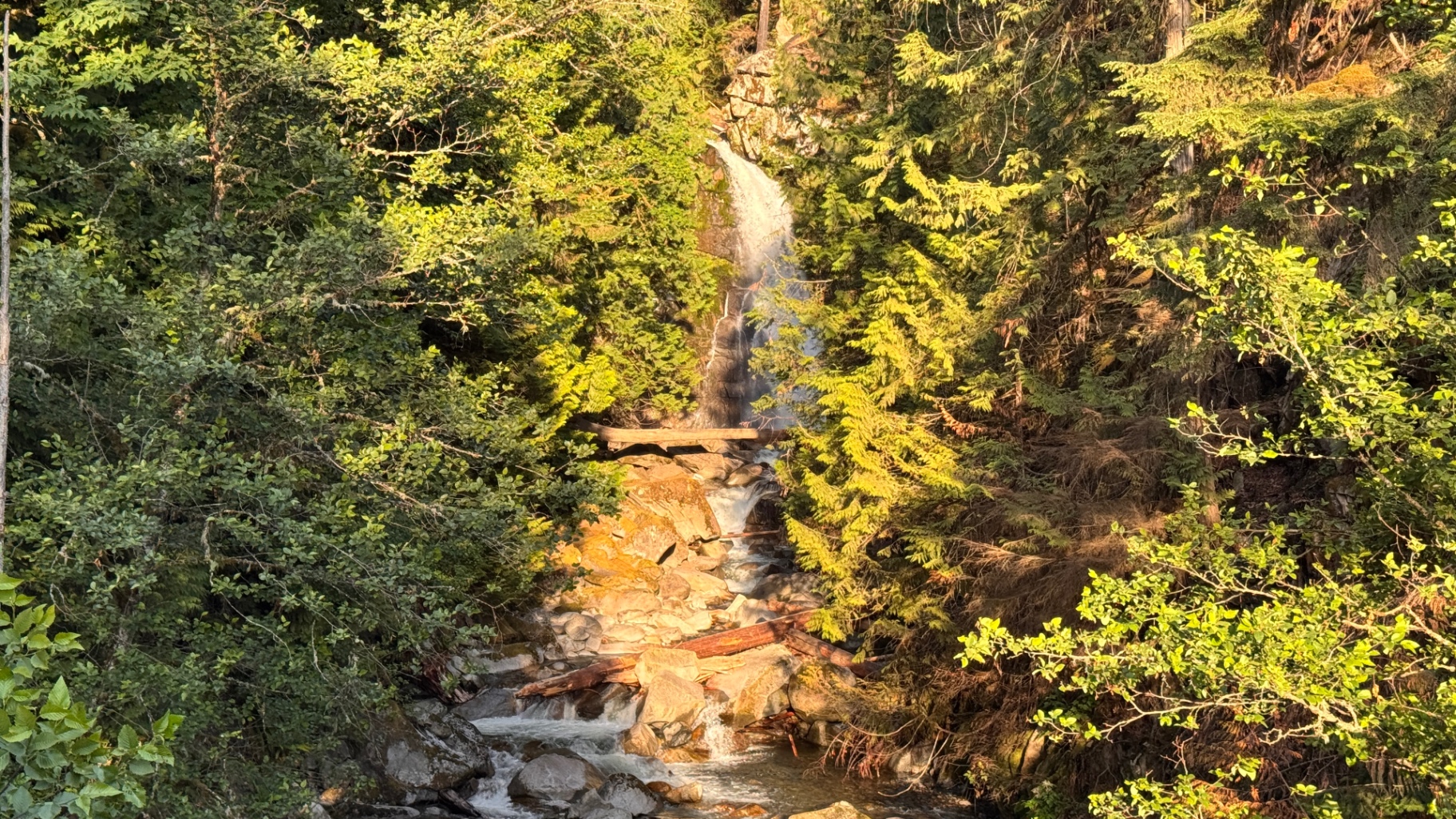 Waterfall tumbling through the trees into a creek along the FSR