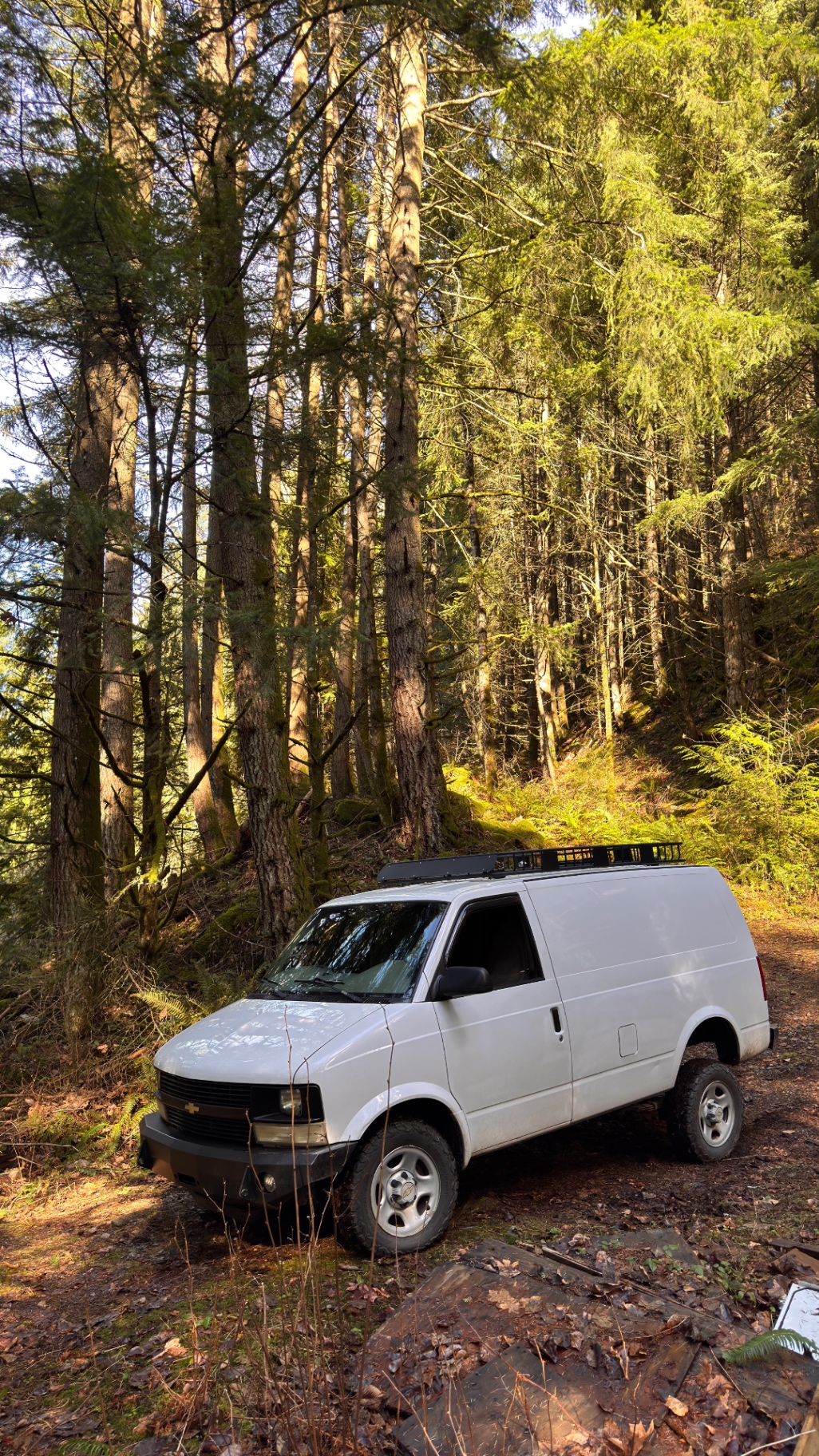Our 2005 Chevy Astro parked among tall cedars on a quiet BC forest road