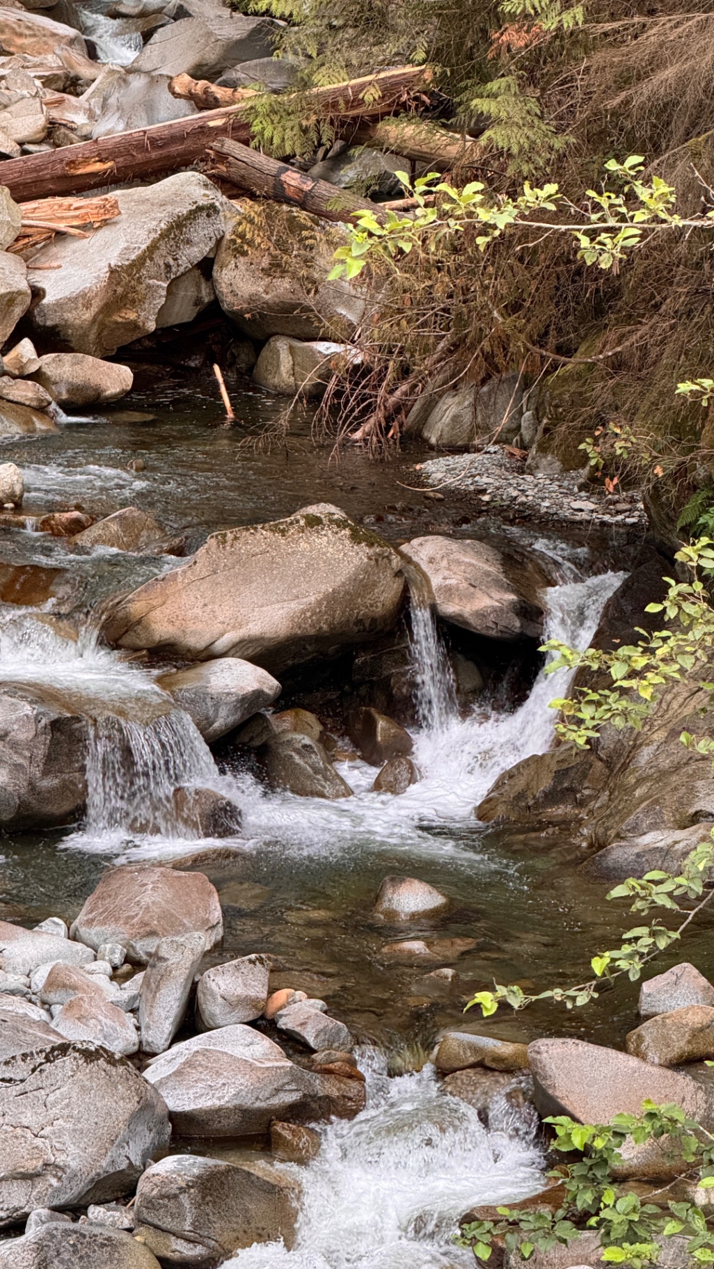 Clear mountain water tumbling over granite boulders