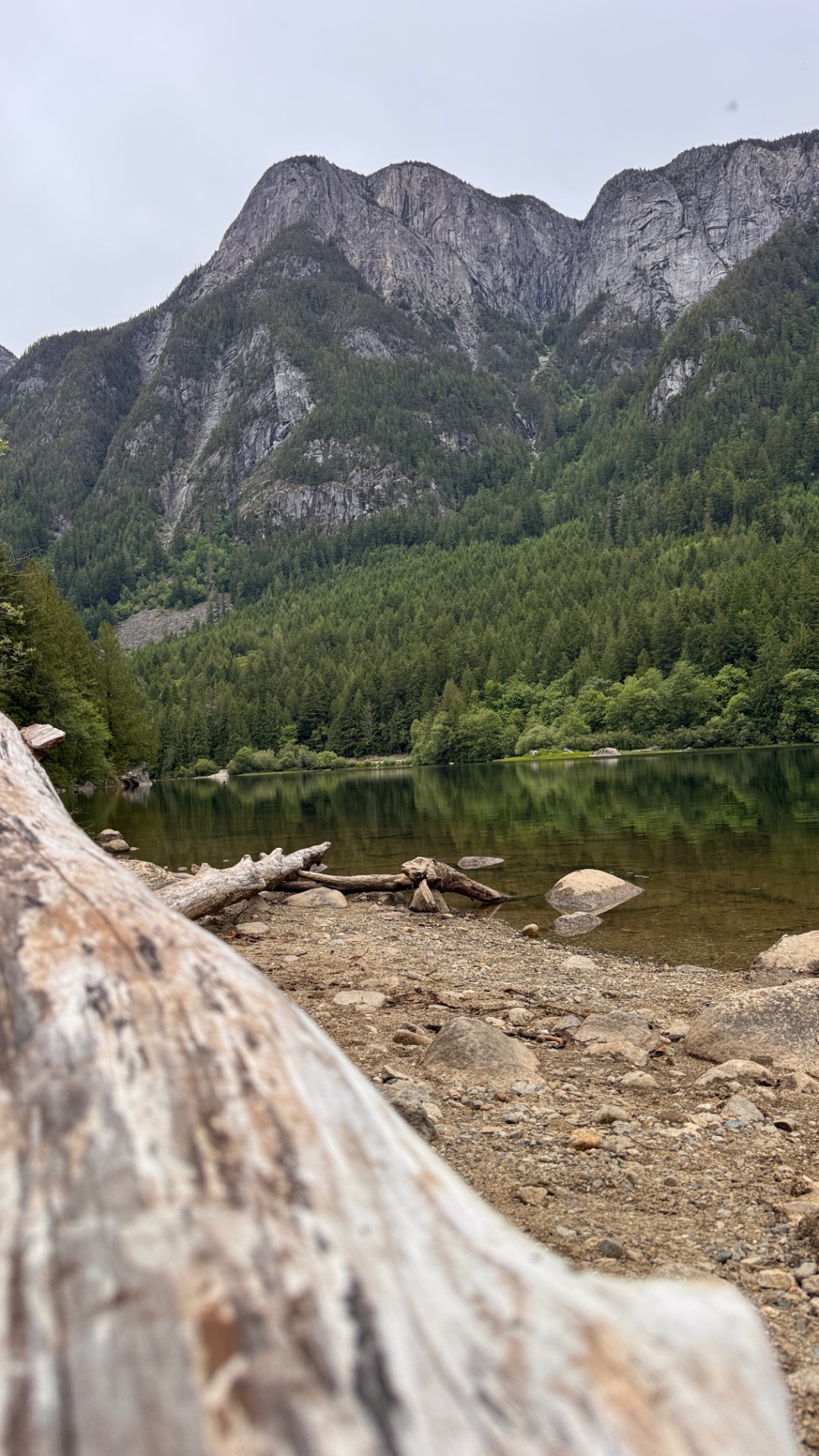 Driftwood in the foreground with Silver Lake and granite cliffs across the water