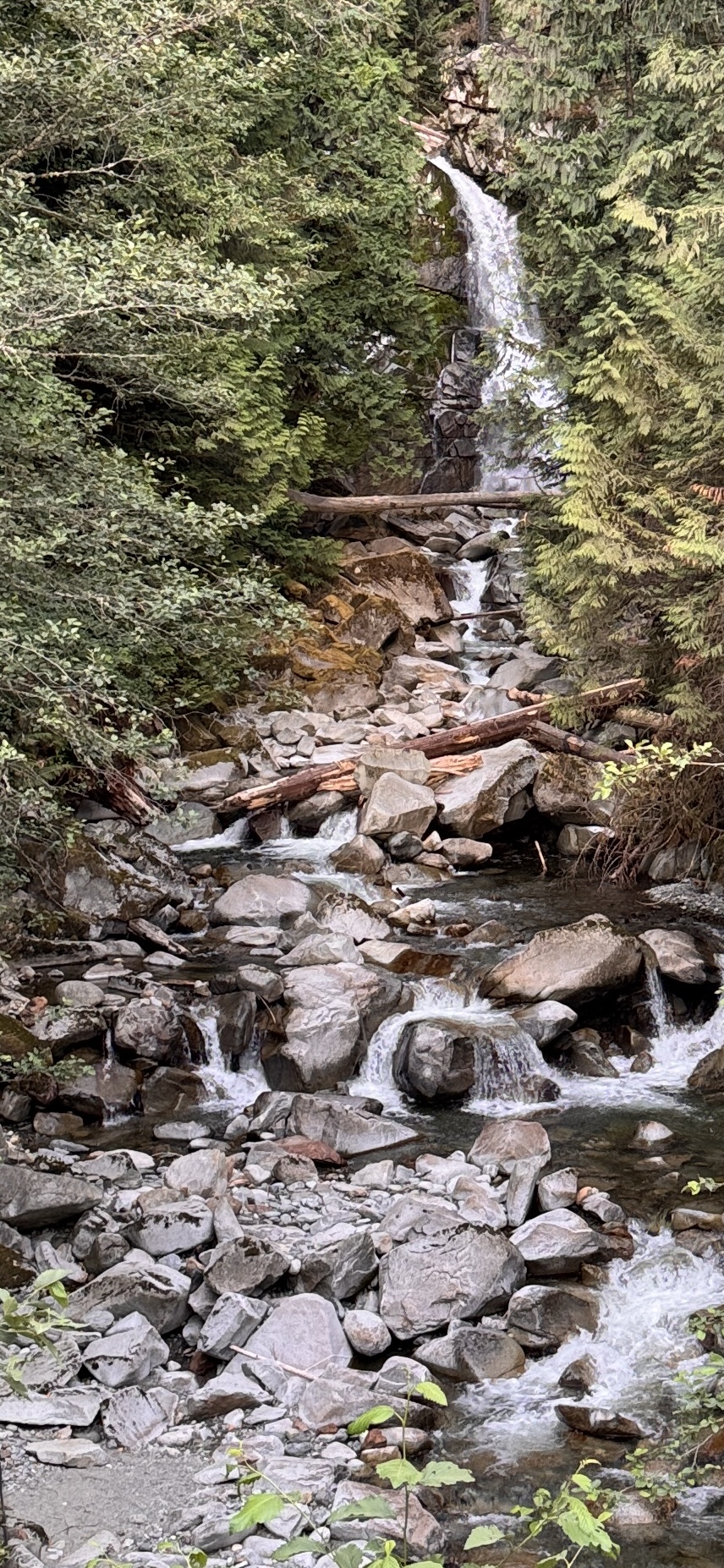 Waterfall cascading down through mossy rocks and Douglas fir