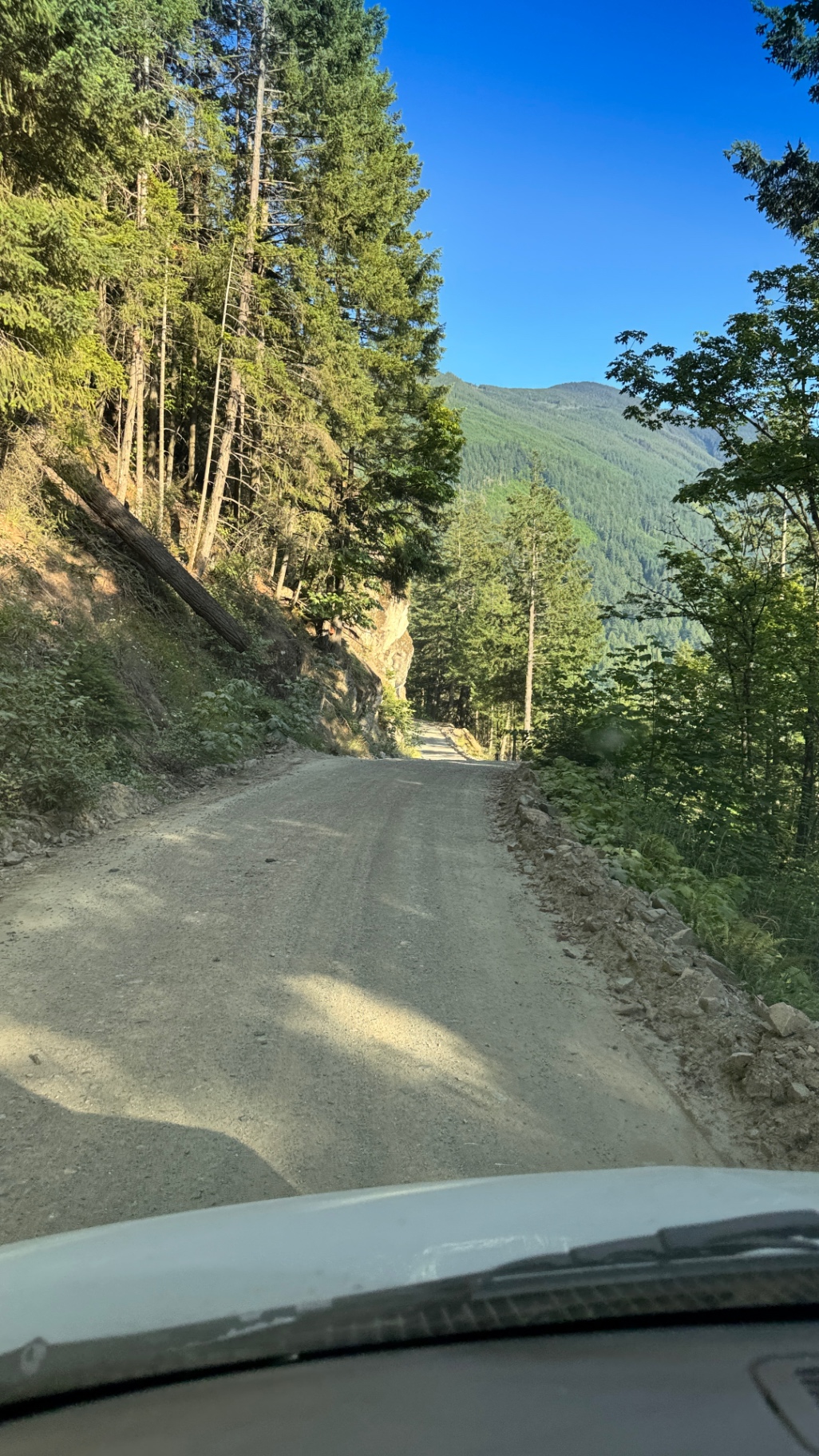 Dusty Harrison FSR gravel climbing through the trees